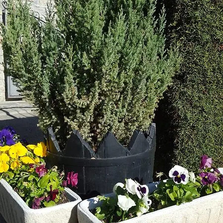 Apartmanhotel Aparta-hotel Puertolas