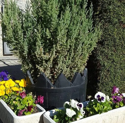 Lägenhetshotell Aparta-hotel Puertolas