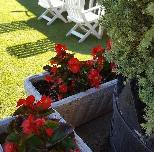 Lägenhetshotell Aparta-hotel Puertolas Escuer