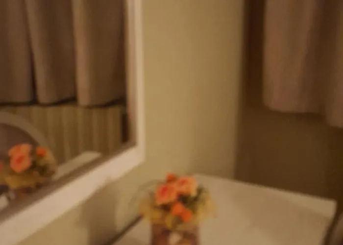 Aparta-hotel Puertolas 3* Escuer